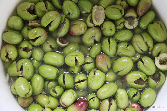 Calabrese Olives Cracked - 13.2Lbs.