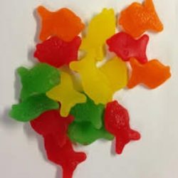TROPICAL FISH