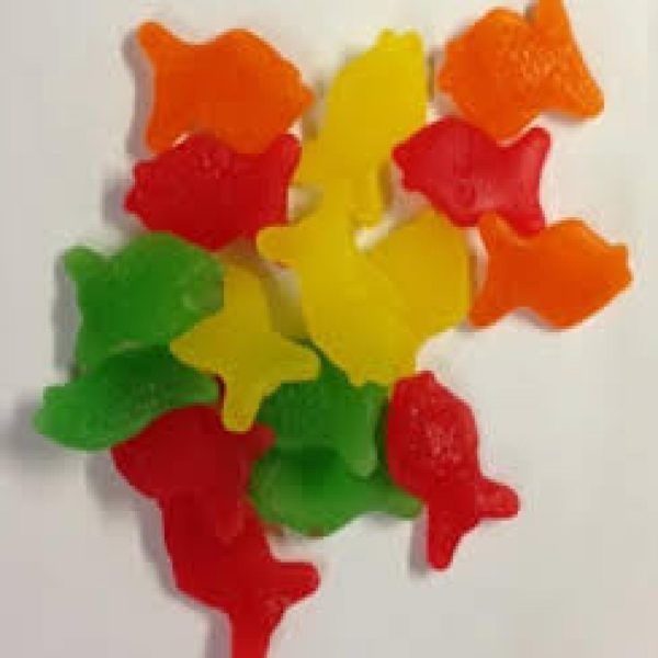 TROPICAL FISH