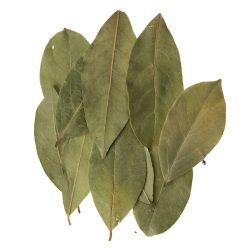 Belle Donne - Bay Leaves (454g Jug)