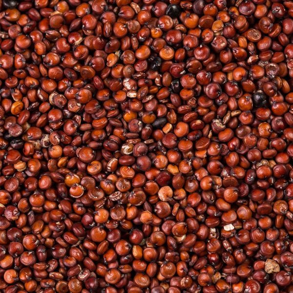 Red Quinoa Grains