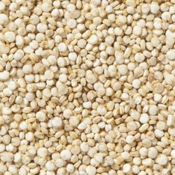 White Quinoa Grains