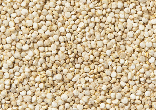 White Quinoa Grains