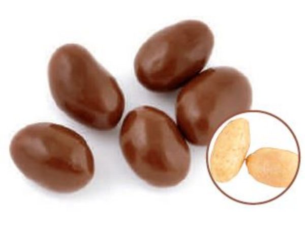 BIG DADDY DARK CHOCOLATE RAISINS