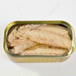 Canned Mackerel