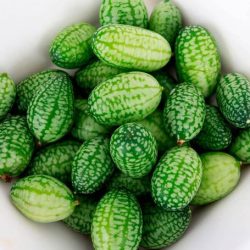 Sour Gherkins