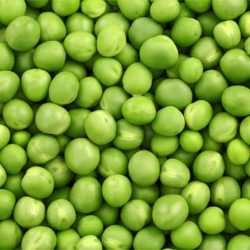 CLIC - GREEN PEAS COOKED DRY