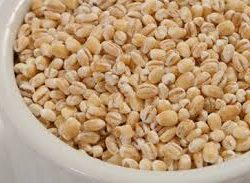 CLIC - POT BARLEY LARGE