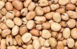 Small Fava Beans Canned - 6x100 oz