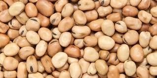 Small Fava Beans Canned - 6x100 oz