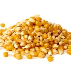 Yellow Popcorn