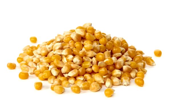 Yellow Popcorn