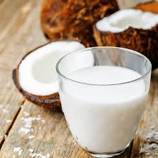 Coconut Milk 17-19% Fat