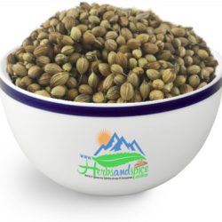 Kos Coriander Seeds Whole