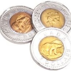 CHOCOLATE TOONIES FOILED