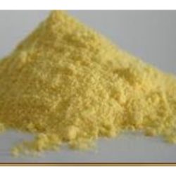 Corn Meal