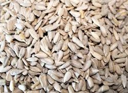 DAVID - Sunflower Seeds Jalapeno Hot Salsa - 12x149 GR