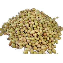 Corriander Seed