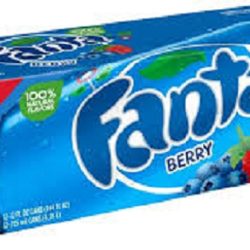 Fanta Us Berry  -12X355Ml