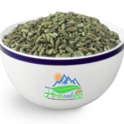 Fennel