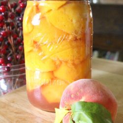 Natural Peeled Peaches In Light Syrup