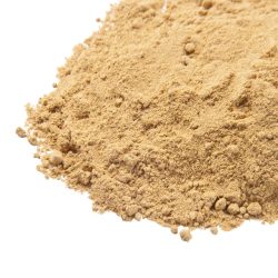 Ch Ginger Ground