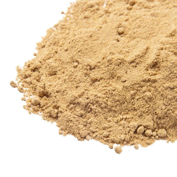Ch Ginger Ground