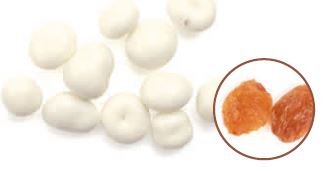 GREEK YOGURT THOMPSON RAISINS