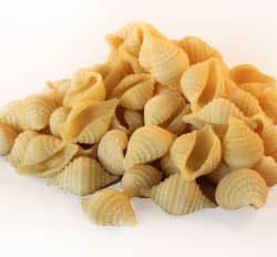 Baby Shells