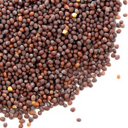 Kos Brown Mustard