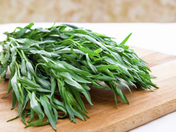 Tarragon - Rubbed