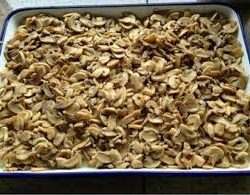 Mushrooms Pieces Stems