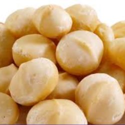 Macadamia Nuts