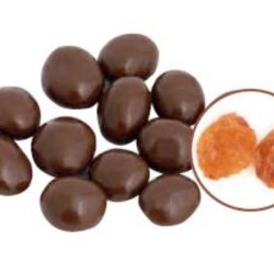 CHOCOLATE RAISINS WITH NO SUGAR