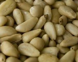 Pine Nuts