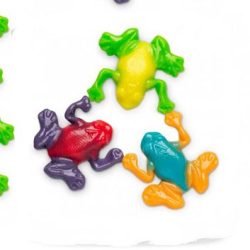 RAINFOREST FROGS