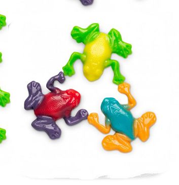 RAINFOREST FROGS