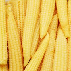 Baby Corn Cut