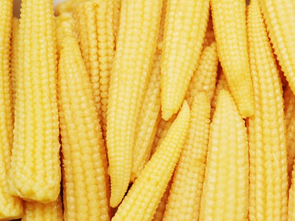 Baby Corn Cut 6X100Oz