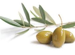 Green Olives Cracked Super