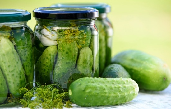 Dill Pickles-No Garlic
