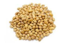 Soya Nuts Dry Roasted -Unsalted
