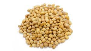 Soya Nuts Dry Roasted -Unsalted