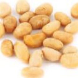 KNORR - Fish Bouillon Mix