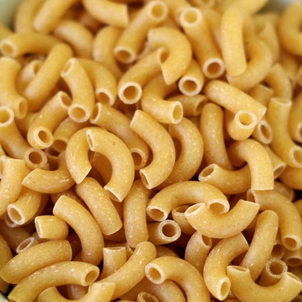 Elbow Macaroni
