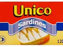 Plain Sardines