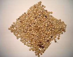 White Pepper - Whole