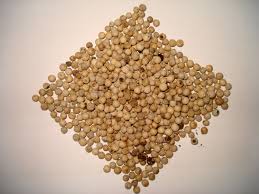 White Pepper - Whole
