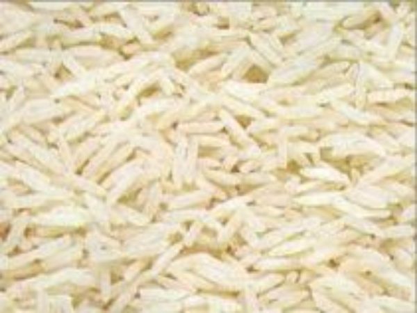 Basmati Rice