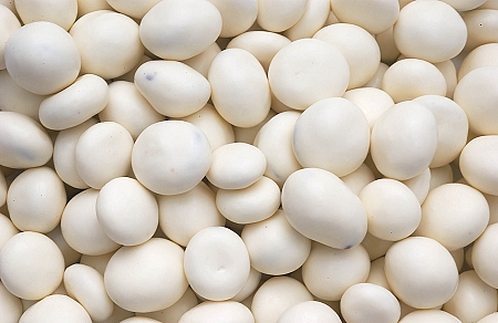 YOGURT PEANUTS JVF